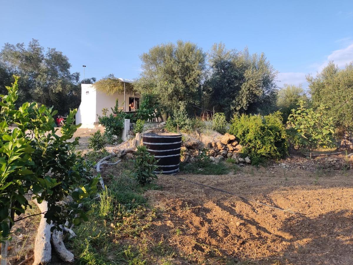 Corfu Oasis Studio Neochorakion Екстериор снимка