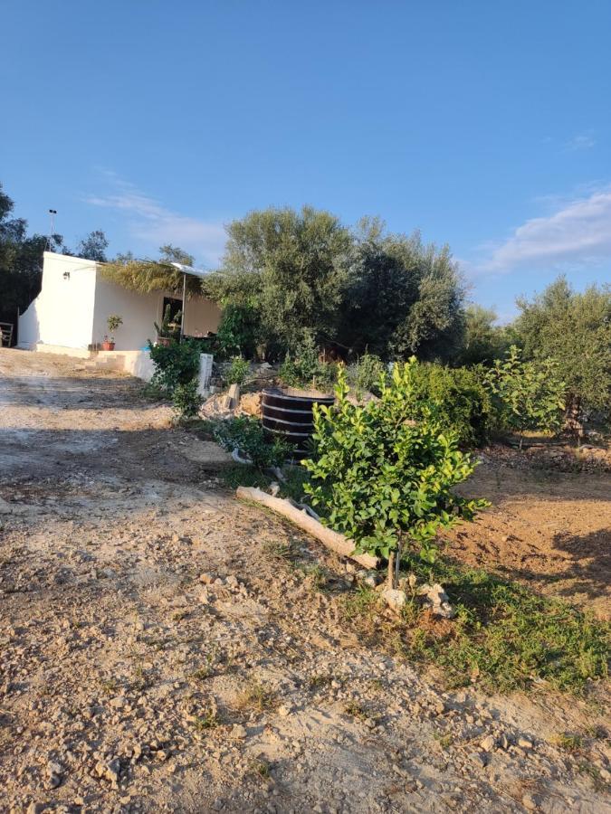 Corfu Oasis Studio Neochorakion Екстериор снимка